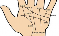 解读男人左手手掌的掌纹，大家都可以来看看