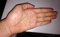 <b>手相术分析女人右手不同的事业线特征</b>