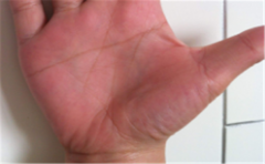 虚荣手相，这样的人生活会很累