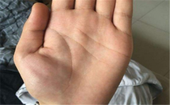 虚荣手相要怎么看