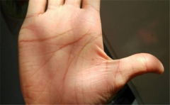 看看你是不是一个有财运的手相的人