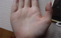 看看你的手相是不是一个有财运的手相