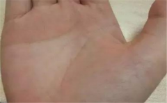 什么样的手相是有偏财运的手相呢