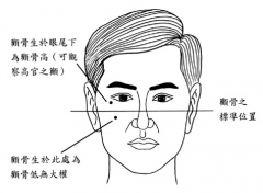 面相眉形中看性格特點