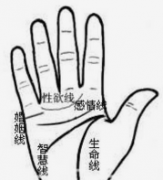 分析手相感情線 你的感情運勢就藏在這裏面