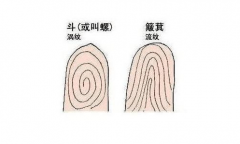 手相三個螺是什麼意思 這樣的人想不發財都難 連老天都在幫他