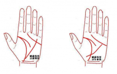 女的左手相怎麼看運勢？