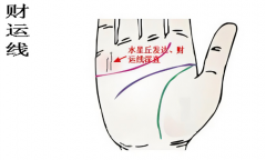 斂財手相不易現 有的人不是富就是貴