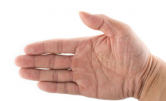 了解手相大全圖解