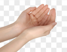 令人羡慕的女強人手相 掌握財富籌碼 書寫傳奇人生