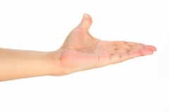 著名大師線上解析鴨嘴手相