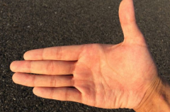 手相解析 鴨嘴手相與雞嘴手相的區別