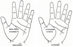命裏手相有財特徵 大師級師傅線上解析