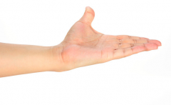 元寶手相財運怎麼樣？