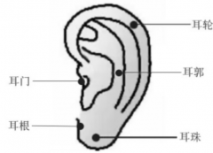  男人耳朵長痣面相圖，痣在何處才是富貴之路