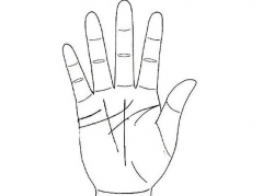 教你如何看手相吧