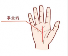 有錢人的手相的運勢特徵