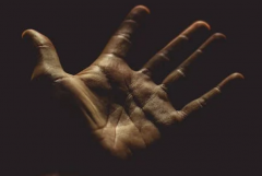 關於雙手斷掌手相圖解