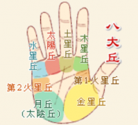 手相圖解男左手介紹 手掌上五條手紋代表的含義