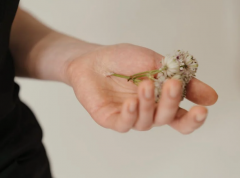 男人手相運勢特徵分析