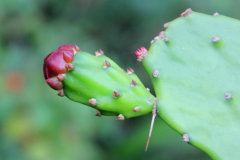 最好的风水网站 最出名的风水论坛