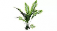 一個人有沒有二婚命看哪里 離婚又重婚算是破了二婚的命