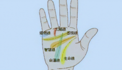 手相看左手還是右手，男人手相能看右手嗎