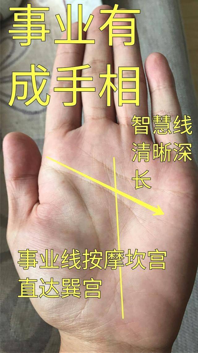 富贵手相的6种奇纹 富贵手相的6种奇纹图解