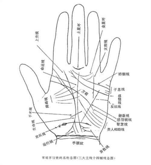 在线看手相算命免费 在线看手相算命免费软件